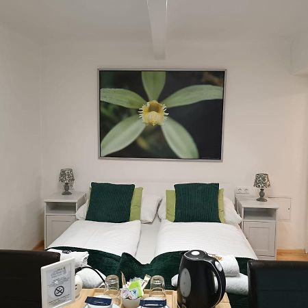 Cityhotel Junger Fuchs Salzburg Ngoại thất bức ảnh